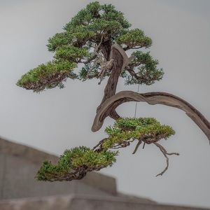 Meet your Posher, Cole